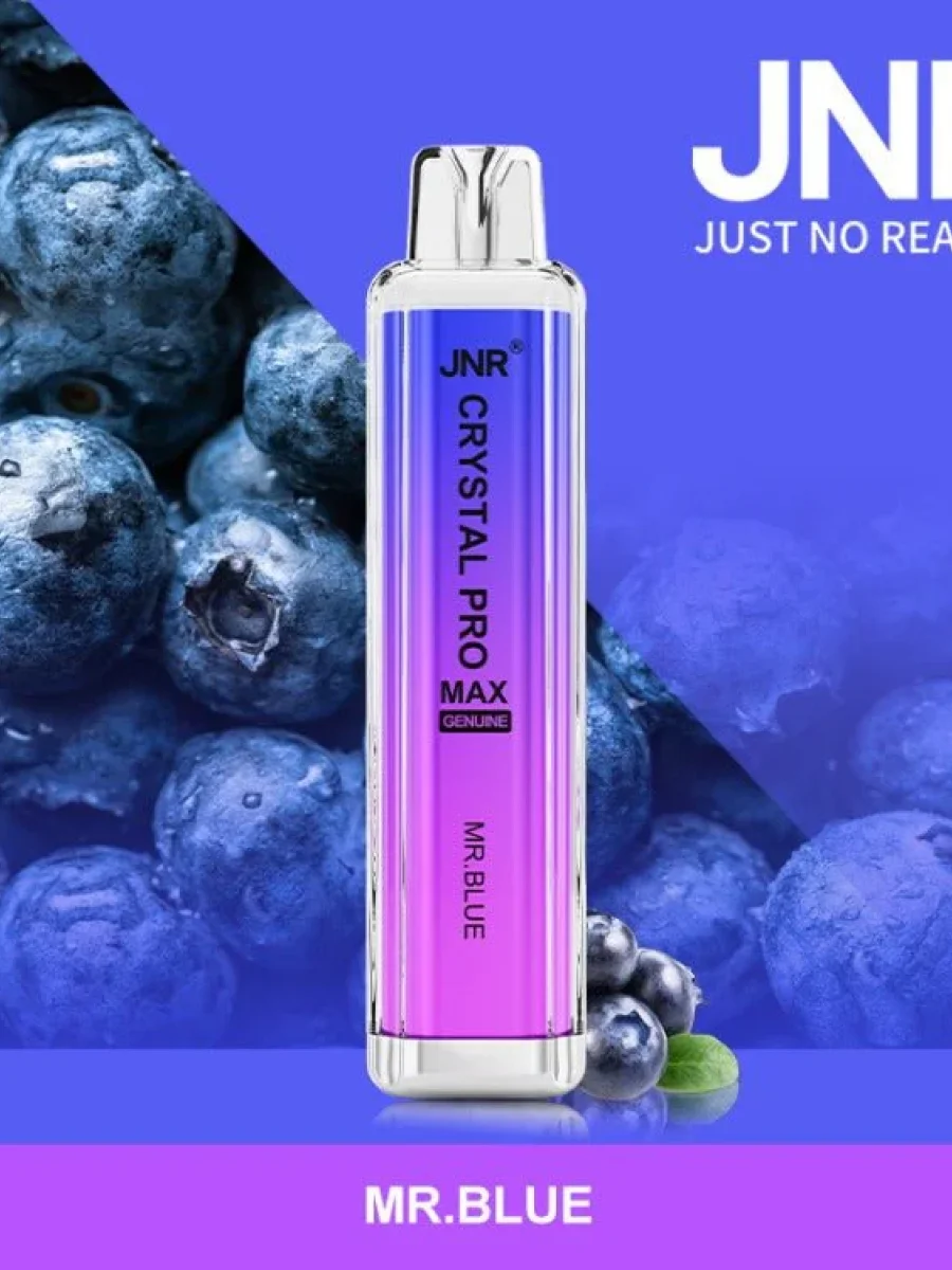 JNR Pro Max 5000 Puffs