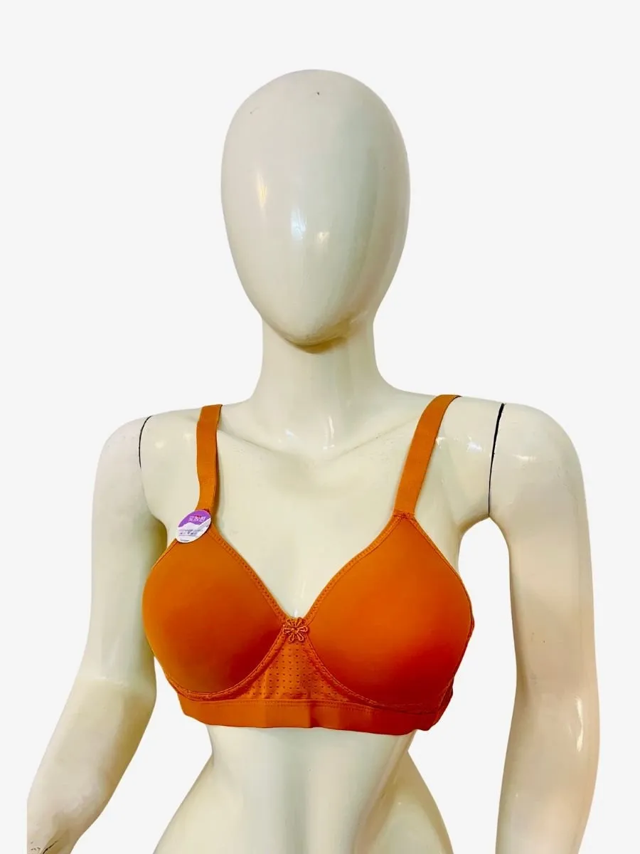 Full Figure Minimizer Bra