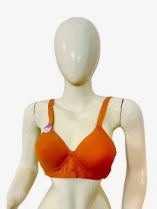 Full Figure Minimizer Bra